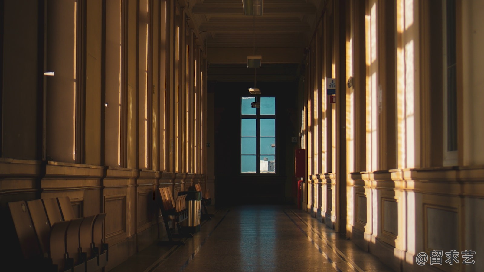 美国所有大学都需要tofel,gre ,么