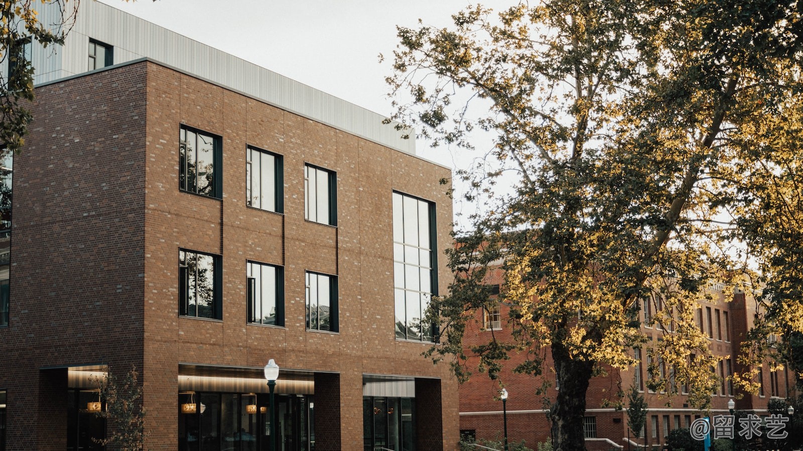 100万个大学生留学美国的费用