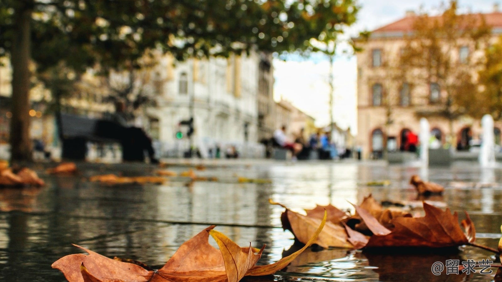 欧洲签证要多久可以办下来