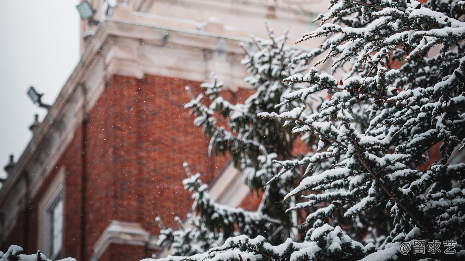 香港留学一年需要多少生活费