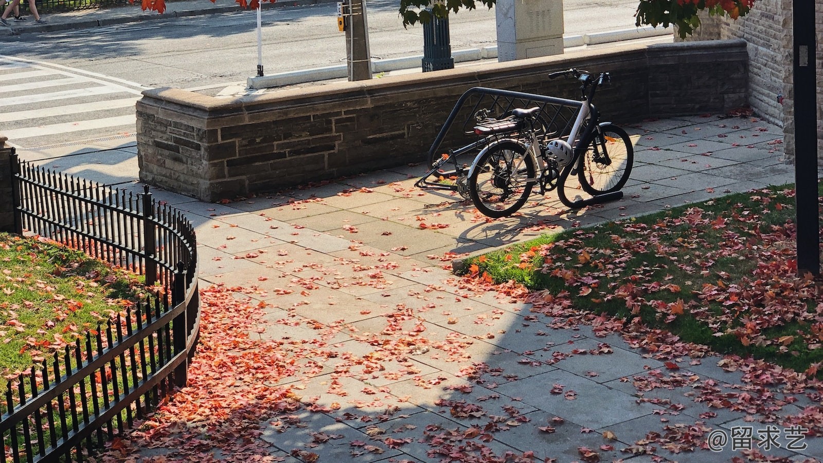 芝加哥的depaul university怎么样