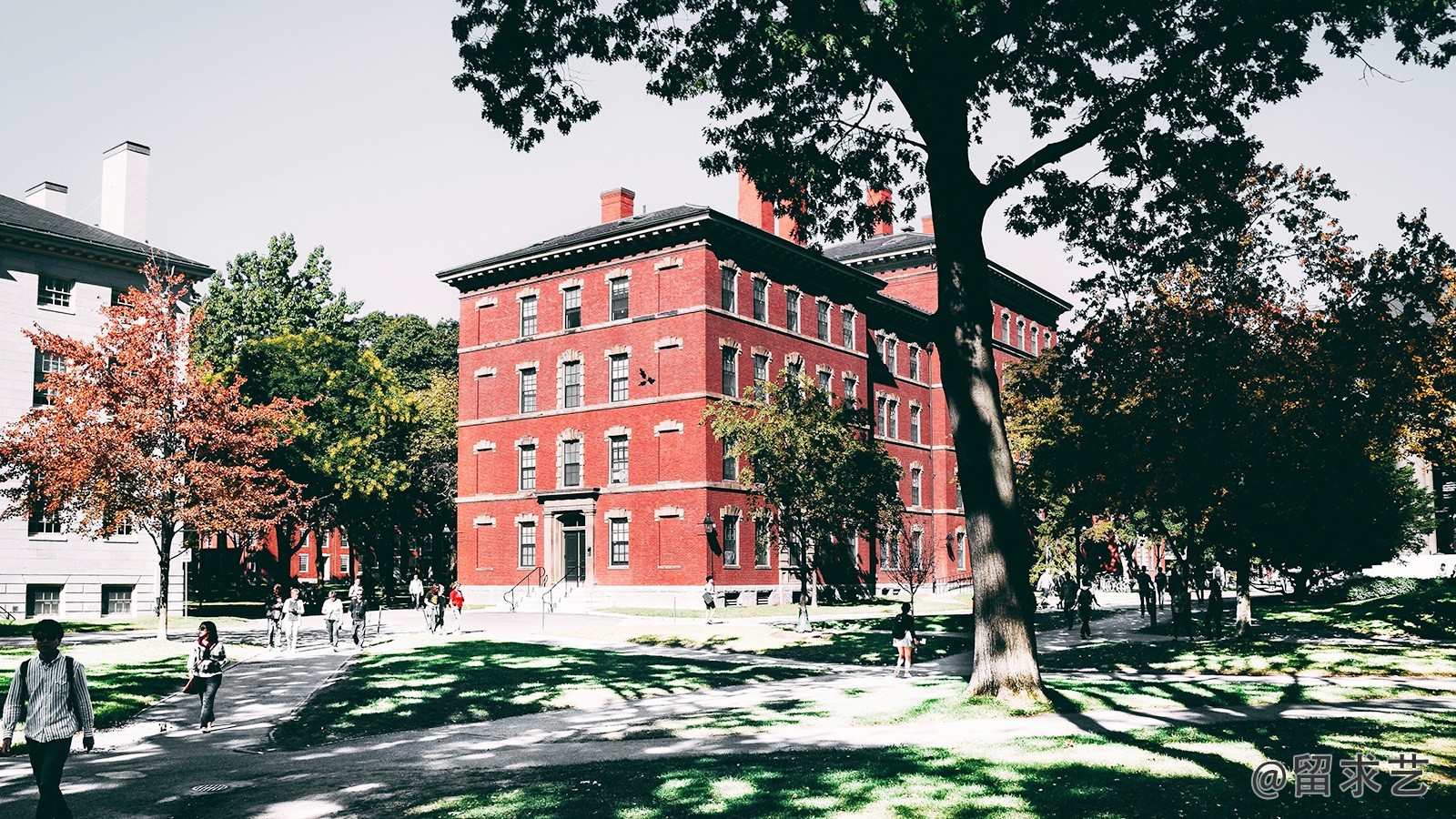 诺丁汉大学有几个学院