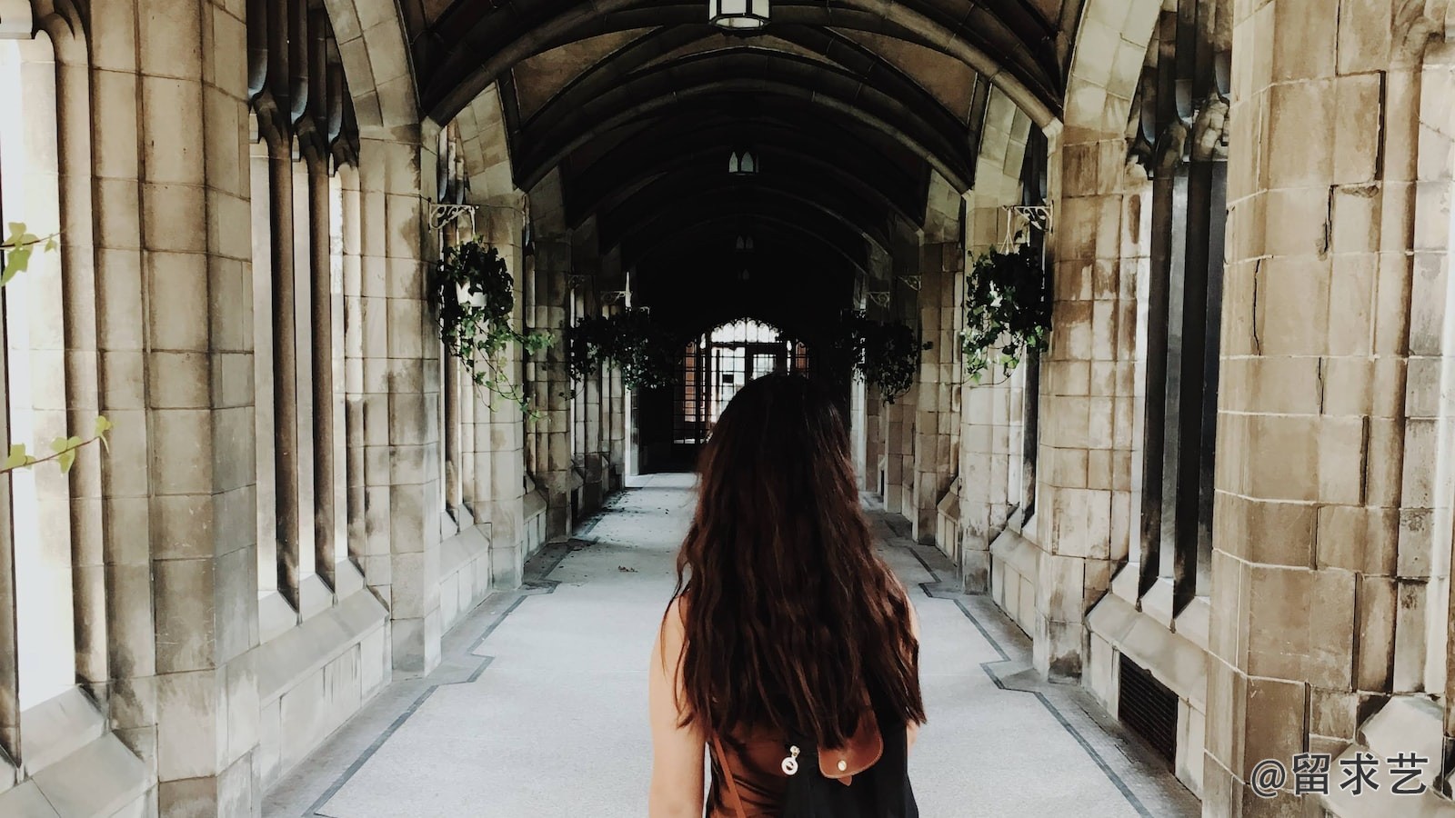 KU Leuven是指哪个大学