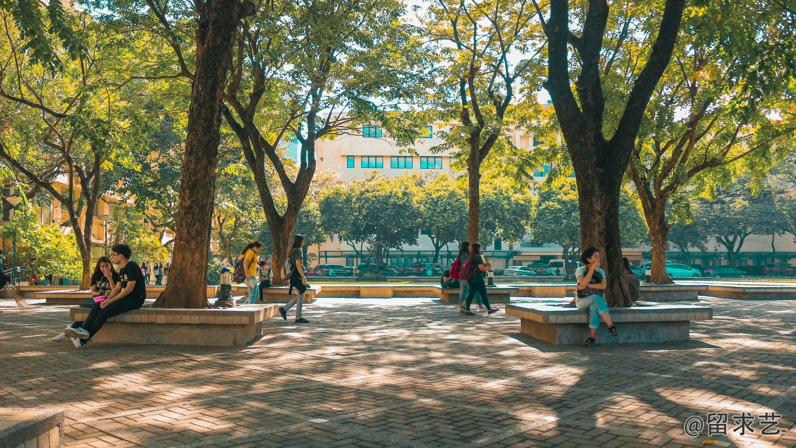 体育挂了影响德国留学吗