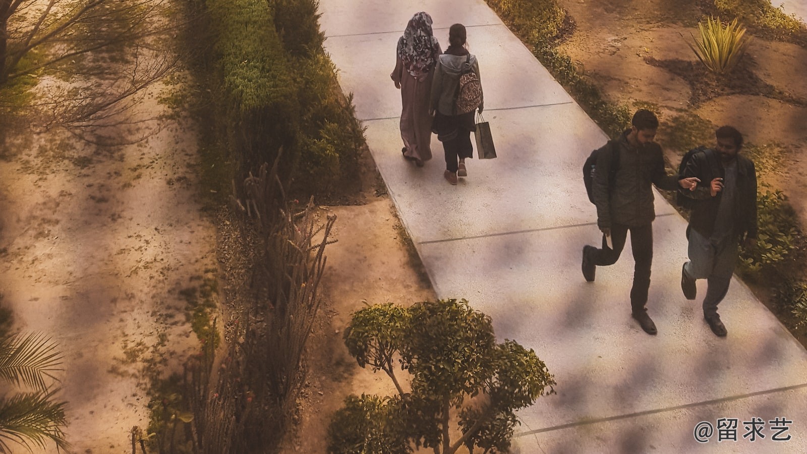 瓦瑞古德是什么意思