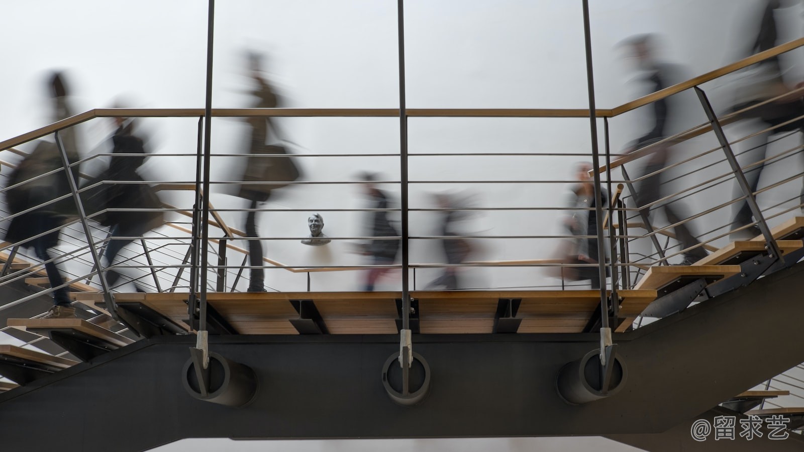 体育专科学了能干什么