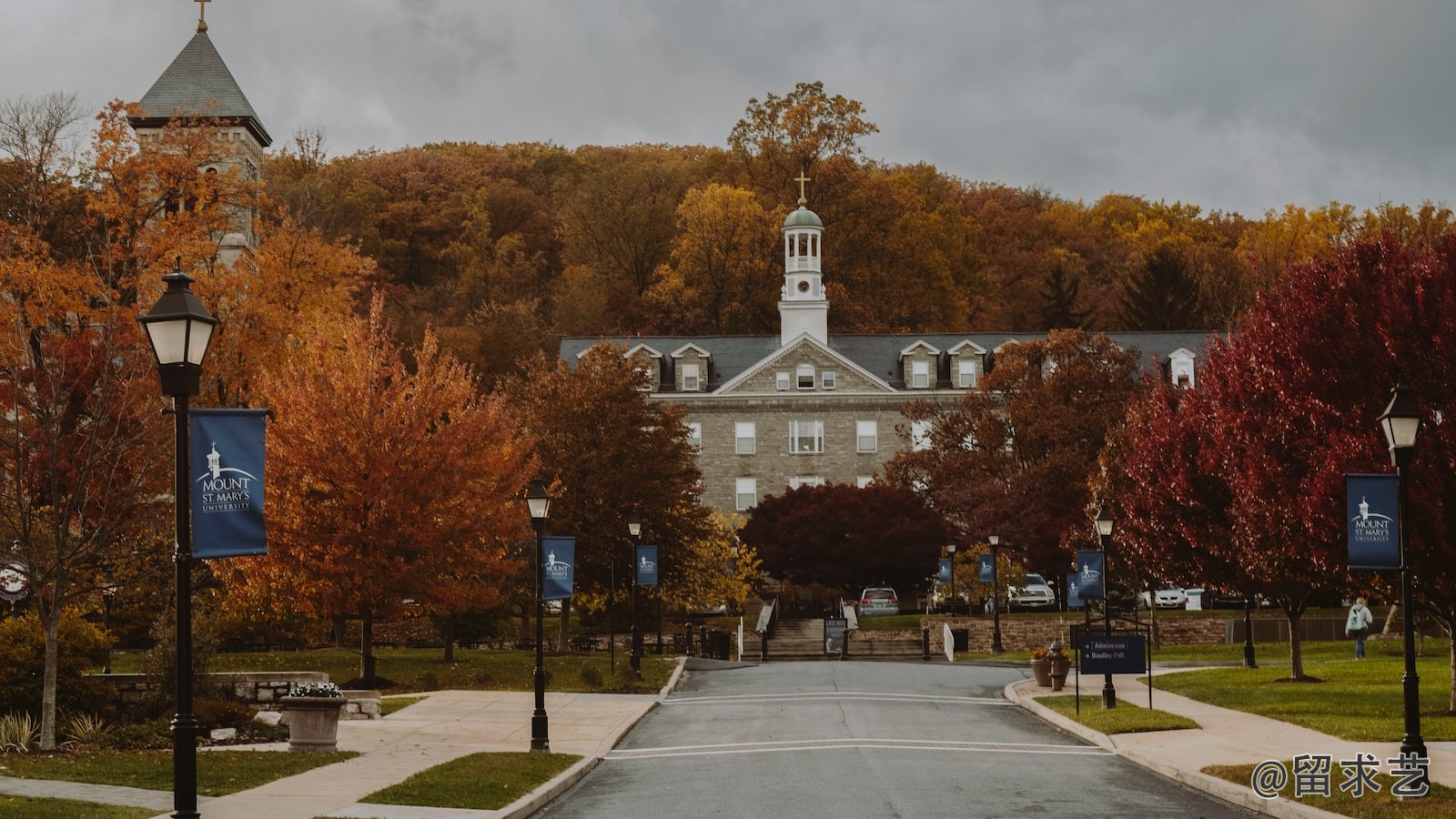 博士的学位是什么