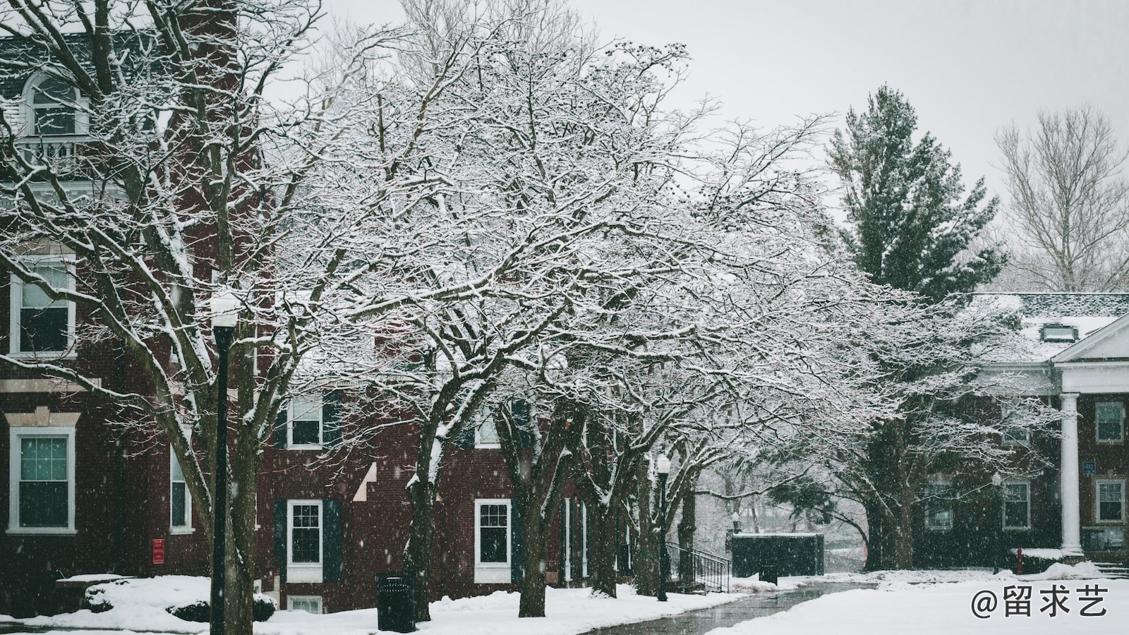 实验设计要遵循哪些原则