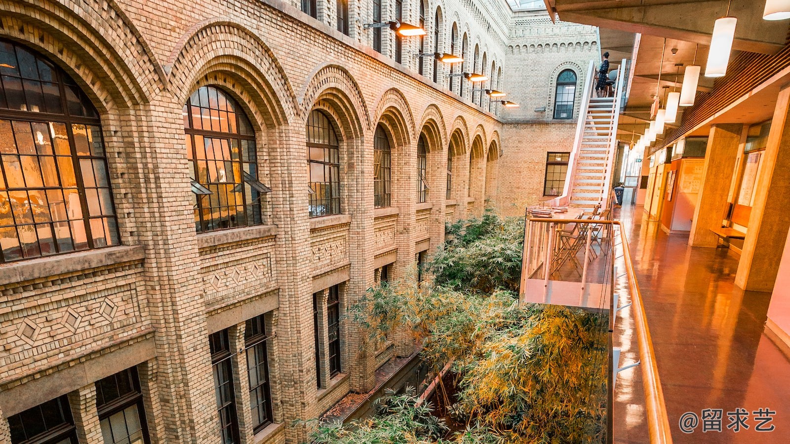 丽江古城谁设计的