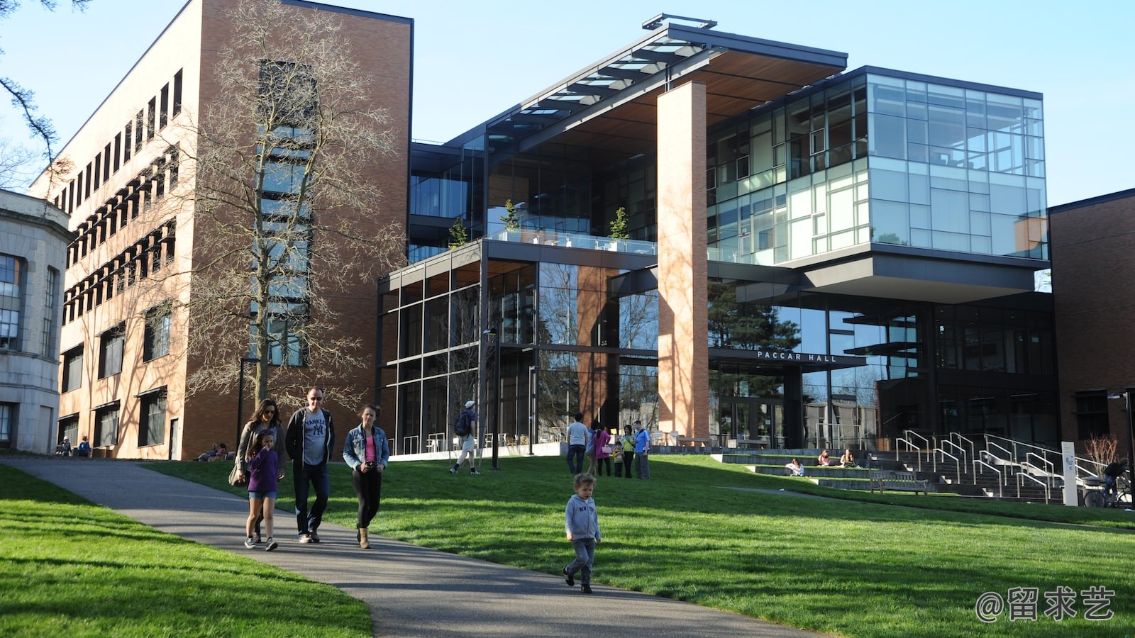 uc irvine大学世界排名