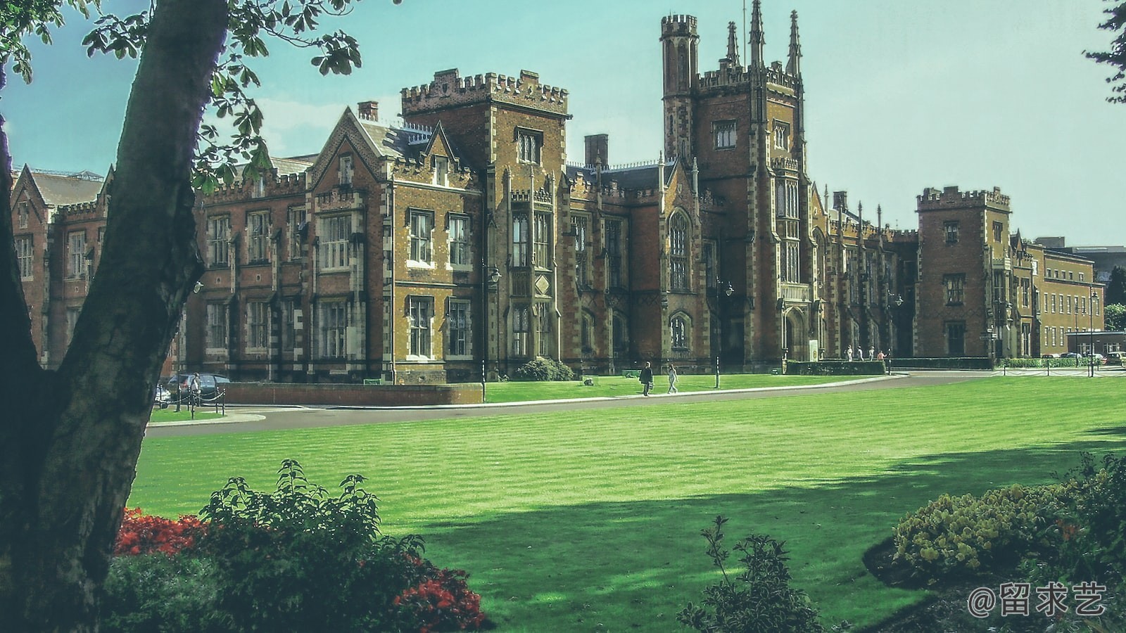 我的大学生活应该怎样度过