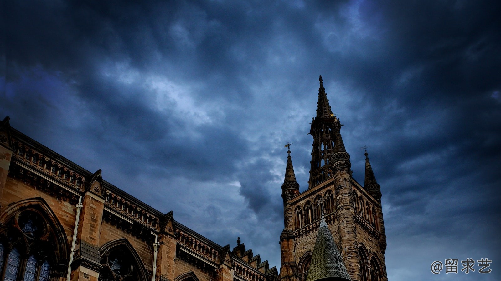 MS中文是什么意思