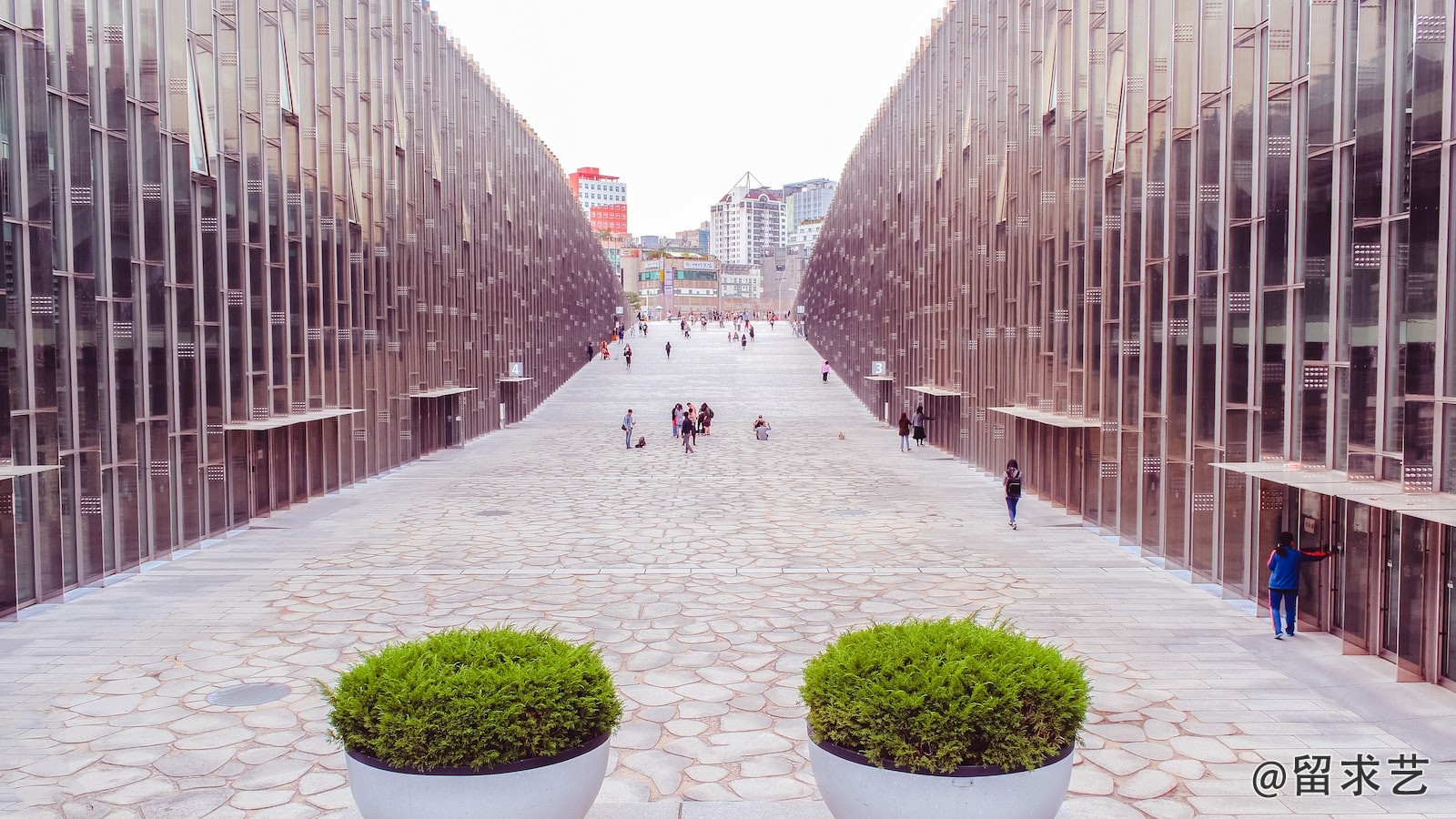 哥本哈根major总共多少个队参加