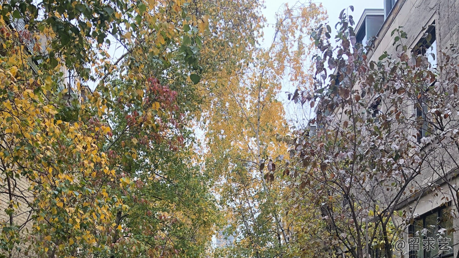 如何办理移民签证用的出生证明