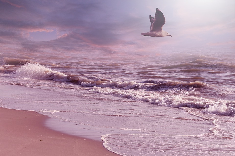 马来西亚中学留学学校有哪些?