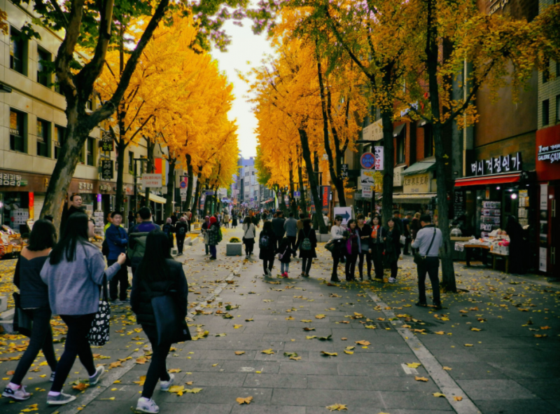 韩国庆熙大学留学热门专业推荐 韩国庆熙大学留学热门专业推荐