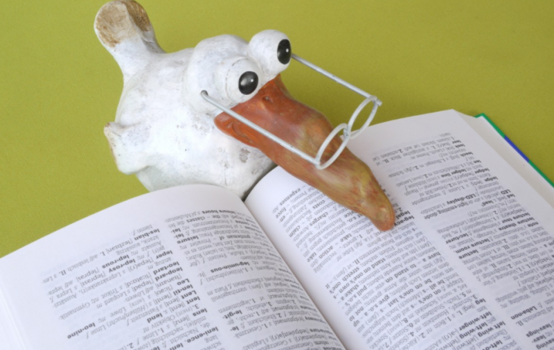 考雅思需要具备什么条件 口语怎么练 考雅思需要具备什么条件 口语怎么练