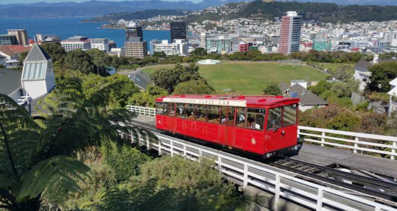 去新西兰上中学有哪些知名公立中学推荐 去新西兰上中学有哪些知名公立中学推荐
