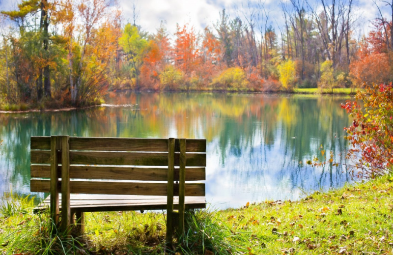 新南威尔士大学艺术类专业排名 新南威尔士大学艺术类专业排名