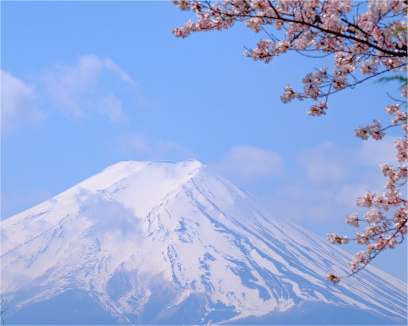 2023日本东京大学本科申请条件及申请流程 2023日本东京大学本科申请条件及申请流程