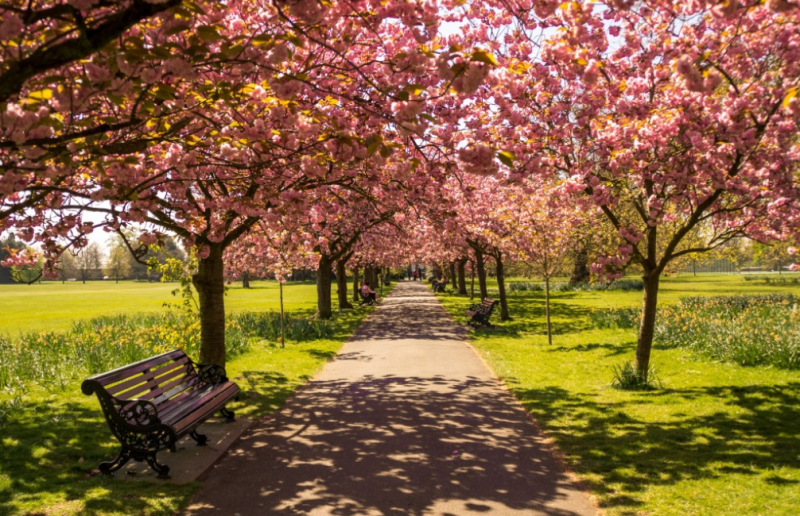 日本京都大学本科申请条件及流程 日本京都大学本科申请条件及流程