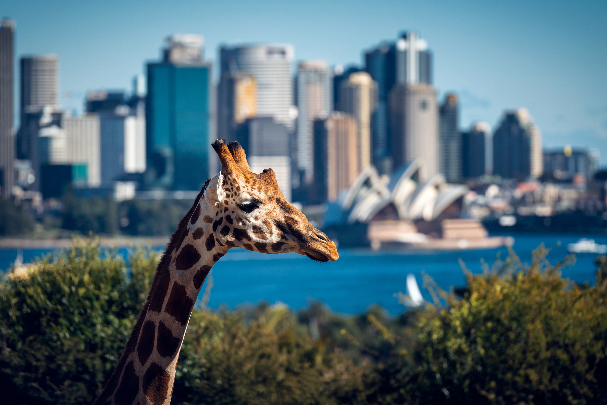 澳洲九大院校留学费用盘点|一年到底要花多少钱? 澳洲九大院校留学费用盘点|一年到底要花多少钱?