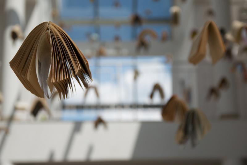 加拿大阿尔伯塔大学艺术专业介绍(本科) 加拿大阿尔伯塔大学艺术专业介绍(本科)