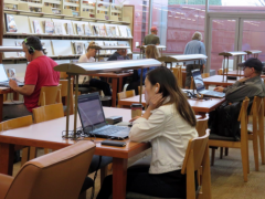 新西兰初中留学可选哪些学校（优质中学推荐）