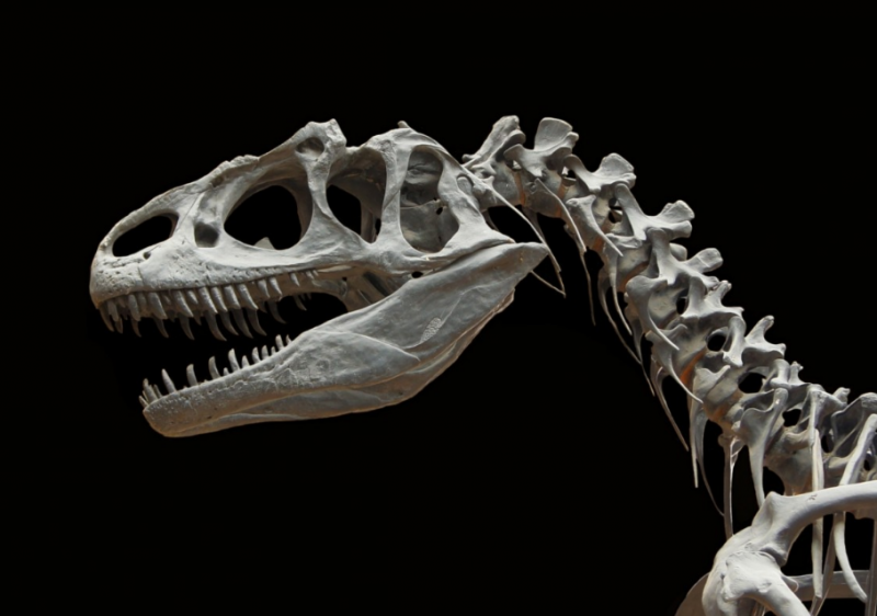 考古学专业全球大学QS排名top前20 考古学专业全球大学QS排名top前20