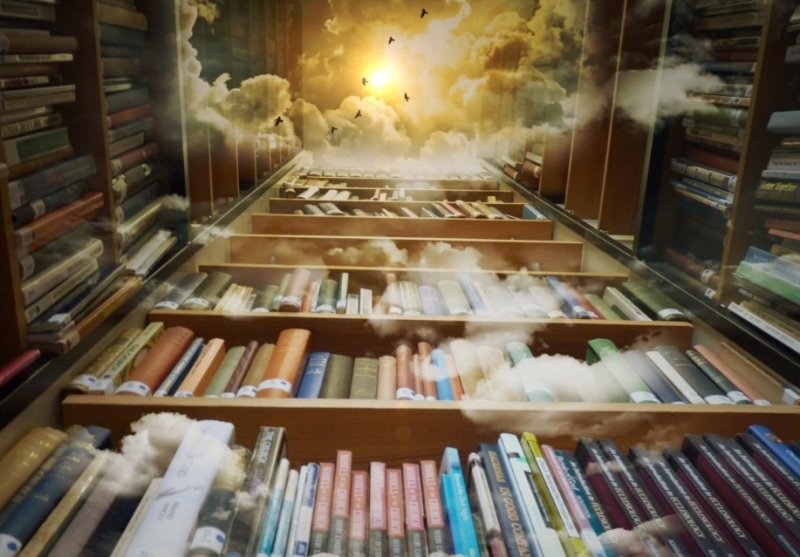 爱尔兰都柏林大学2024QS世界大学排名跻身第172位！