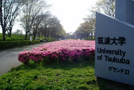 筑波大学建筑设计专业怎么样？