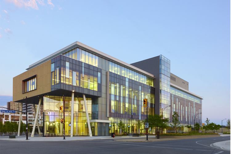 加拿大谢尔丹学院插画专业申请 加拿大谢尔丹学院插画专业申请