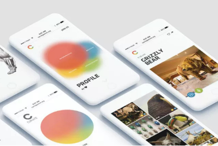 2023美国大学人机交互设计专业排名 2023美国大学人机交互设计专业排名