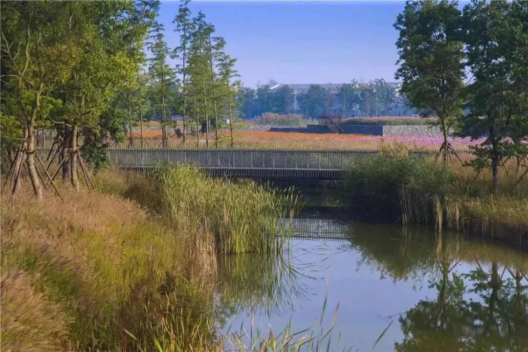 2022年美国景观设计专业排名 2022年美国景观设计专业排名