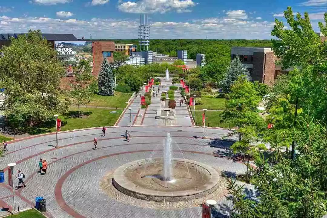 纽约州立大学石溪分校排名第几? 纽约州立大学石溪分校排名第几?