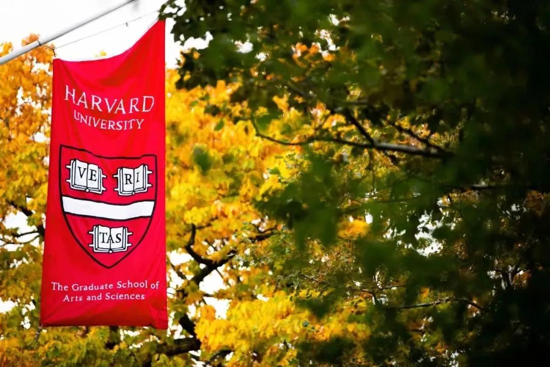 哈佛大学设计学院专业介绍