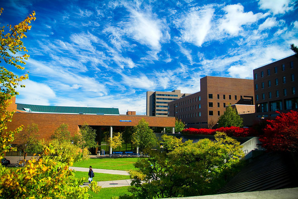 纽约州立大学布法罗分校世界排名.jpg 纽约州立大学布法罗分校世界排名.jpg