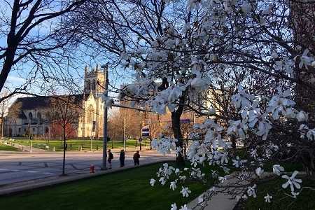 凯斯西储大学艺术专业有哪些?申请要求高吗? 凯斯西储大学艺术专业有哪些?申请要求高吗?
