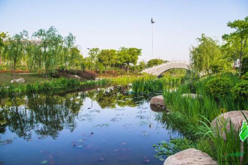 美国园林景观专业排名 美国园林景观专业排名