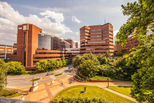 范德堡大学世界排名情况怎么样? 范德堡大学世界排名情况怎么样?