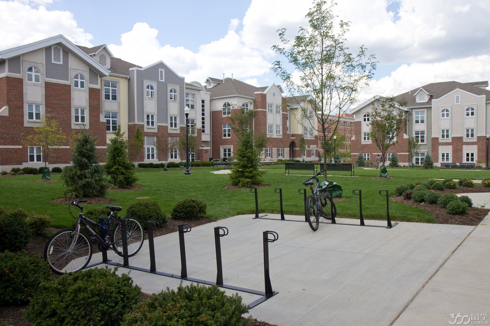 戴顿大学世界排名 戴顿大学世界排名