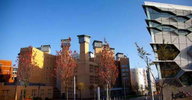 伦敦创意艺术大学排名 伦敦创意艺术大学排名