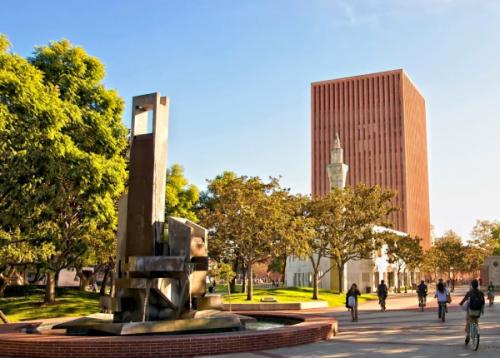 南加州大学作品集设计要求详解