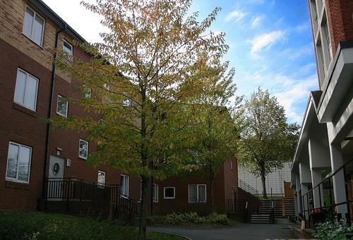 英国大学建筑专业排名