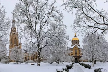 2020年Niche美国建筑专业大学排名 2020年Niche美国建筑专业大学排名