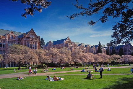 华盛顿大学交互设计专业详解 华盛顿大学交互设计专业详解