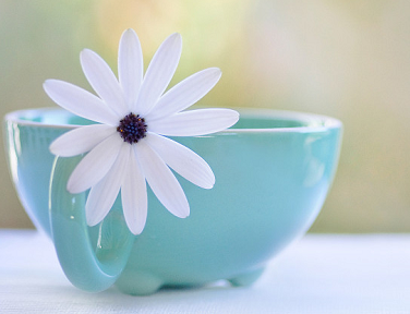 1551861829419421.png 阿尔弗雷德大学陶艺专业怎么样?排名如何?.png