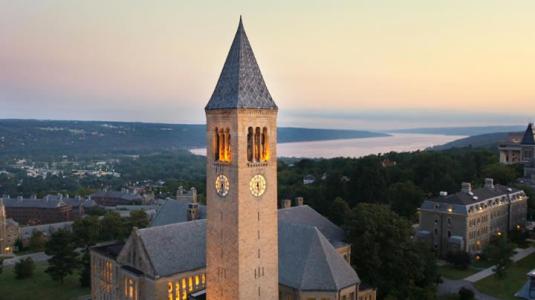 康奈尔大学艺术学院 康奈尔大学艺术学院