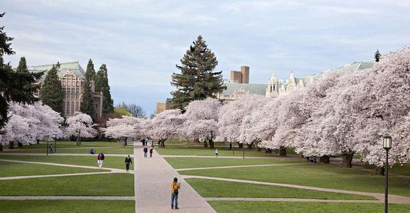 华盛顿大学录取条件