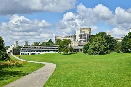 约克大学申请条件有哪些？